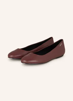Calvin Klein Ballerinas buy