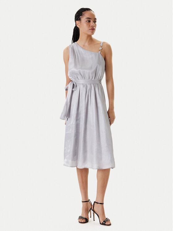 Fracomina Coctailkleid FQ25SD2009W797T4 Silberfarben Regular Fit