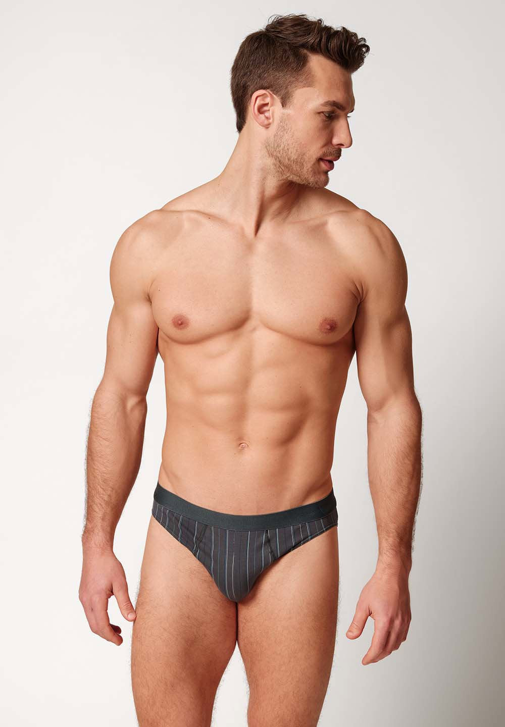 Cotton 2 Pack Slip Doppelpack shadow stripes selection 110089-01H411